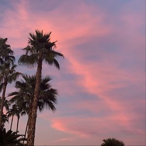 Meet your Posher, Alexia!